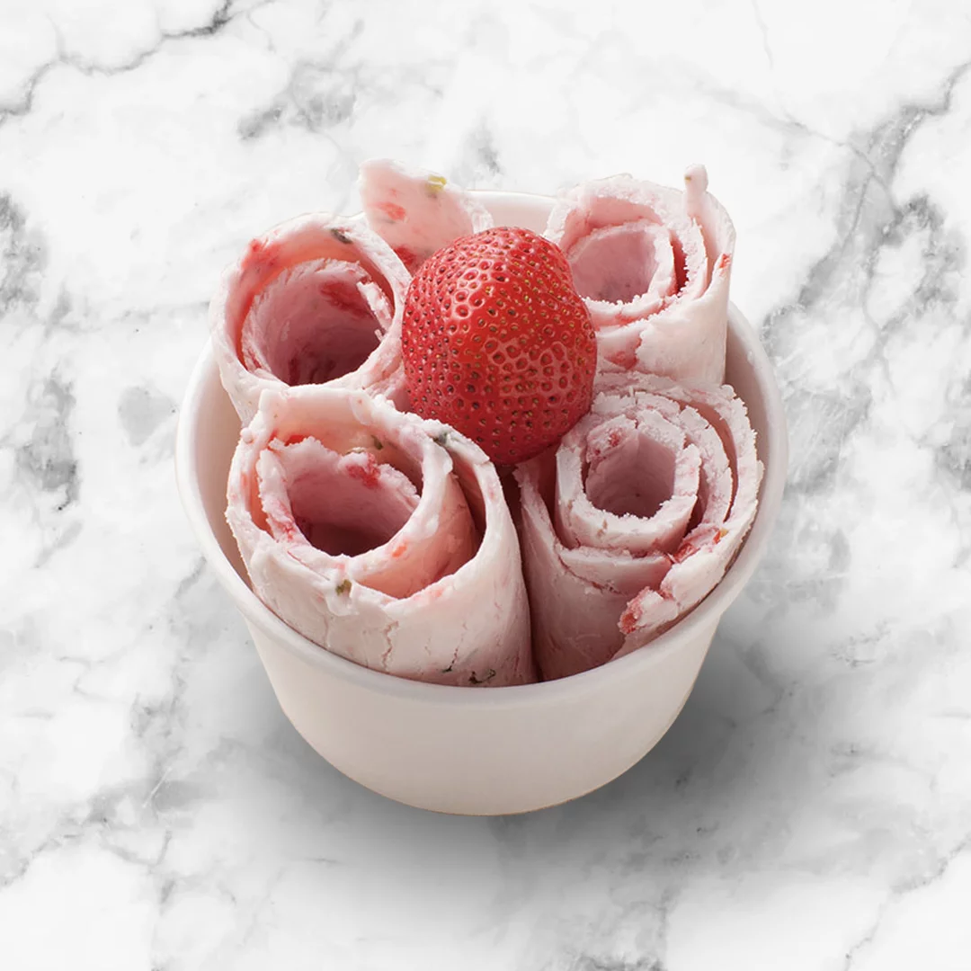 ICR-300SS Whynter Portable Instant Ice Cream Maker Frozen Pan Roller in Stainless Steel
