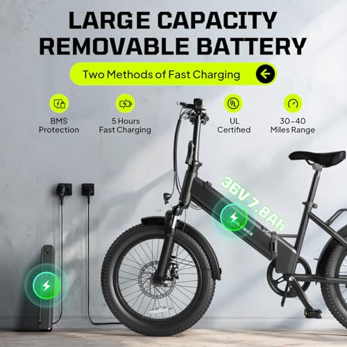 TST Folding Electric Bike for Adults, 1000W Peak Motor EBike with 36V 7.8Ah Removable Battery, Max Range 40 Miles 25 MPH Electric Bicycle