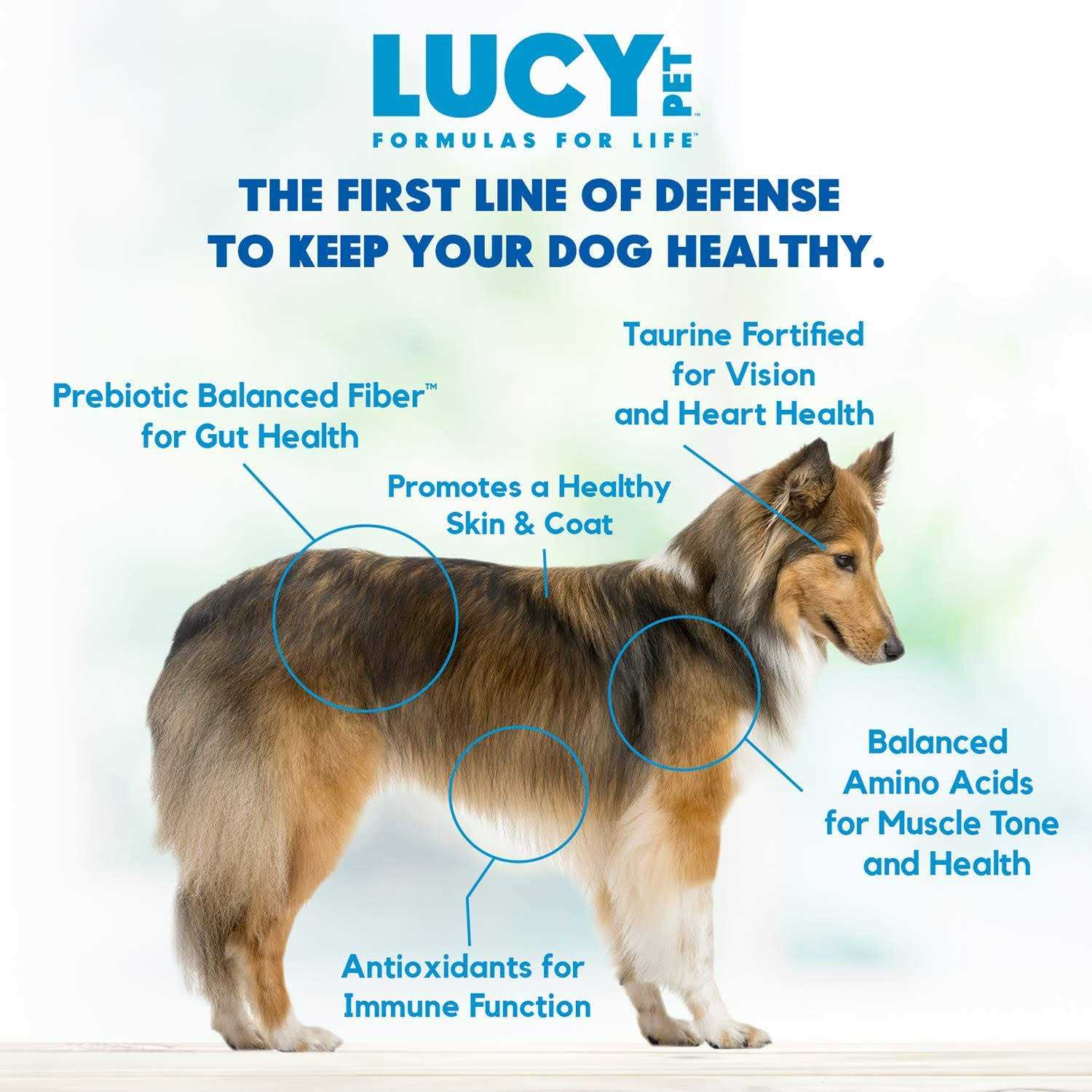Lucy Pet Formula for Life Chicken Brown Rice &amp; Pumpkin Dry Dog Food - Pet Supplies online store