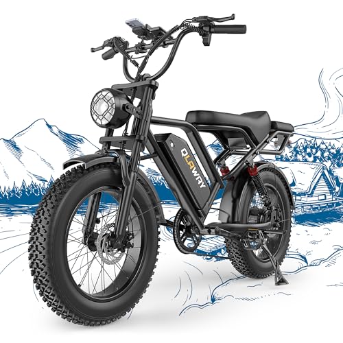 Fat Tire Electric Dirt Bike 750w for Adults 20" Full Suspension Electric Motorcycle Ebikes 48V 15.6AH Removable Battery,31MPH Top Speed