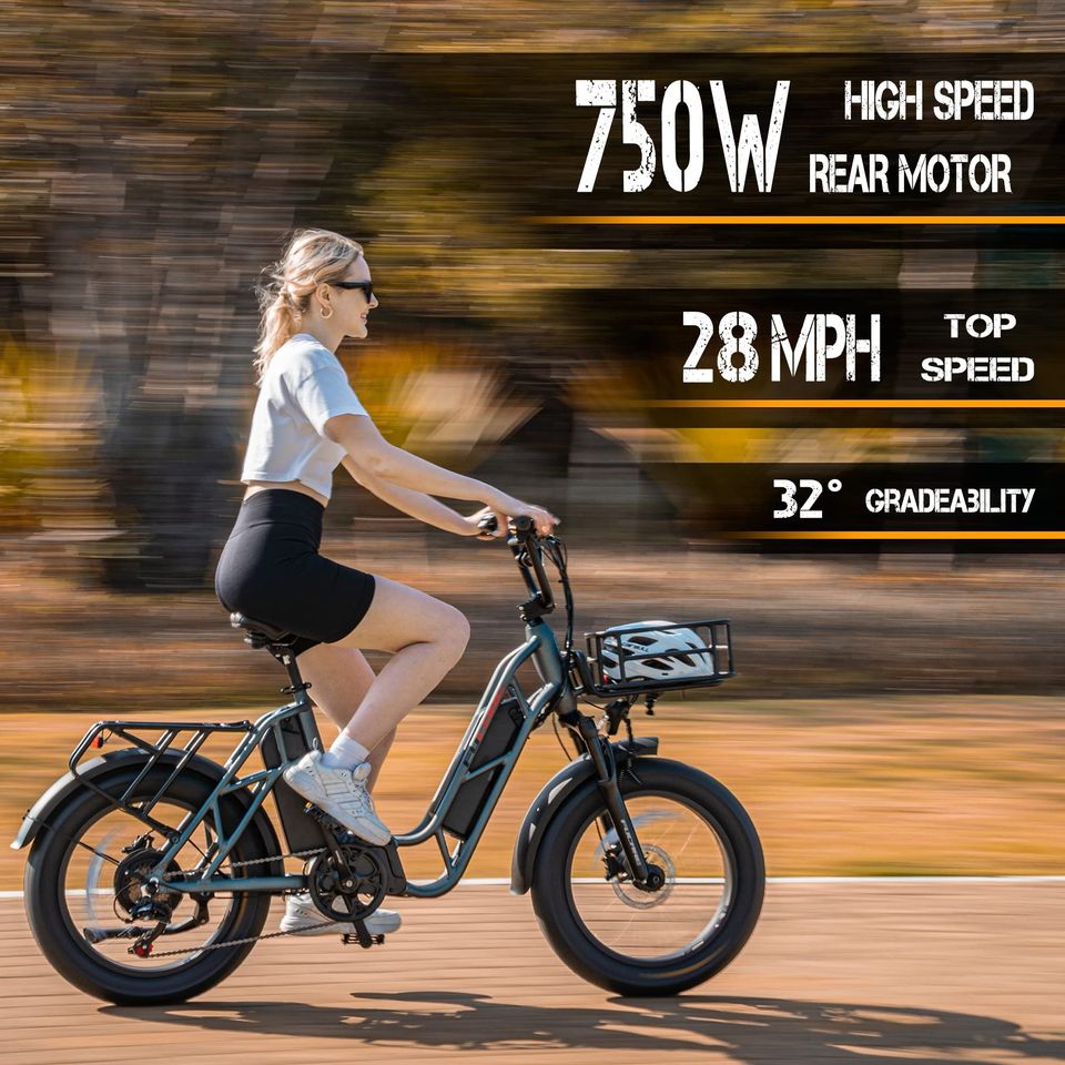 750W Electric Bike for Adults, 20'' Ebike 48V 20.8AHDual Removable Lithium Batt.
