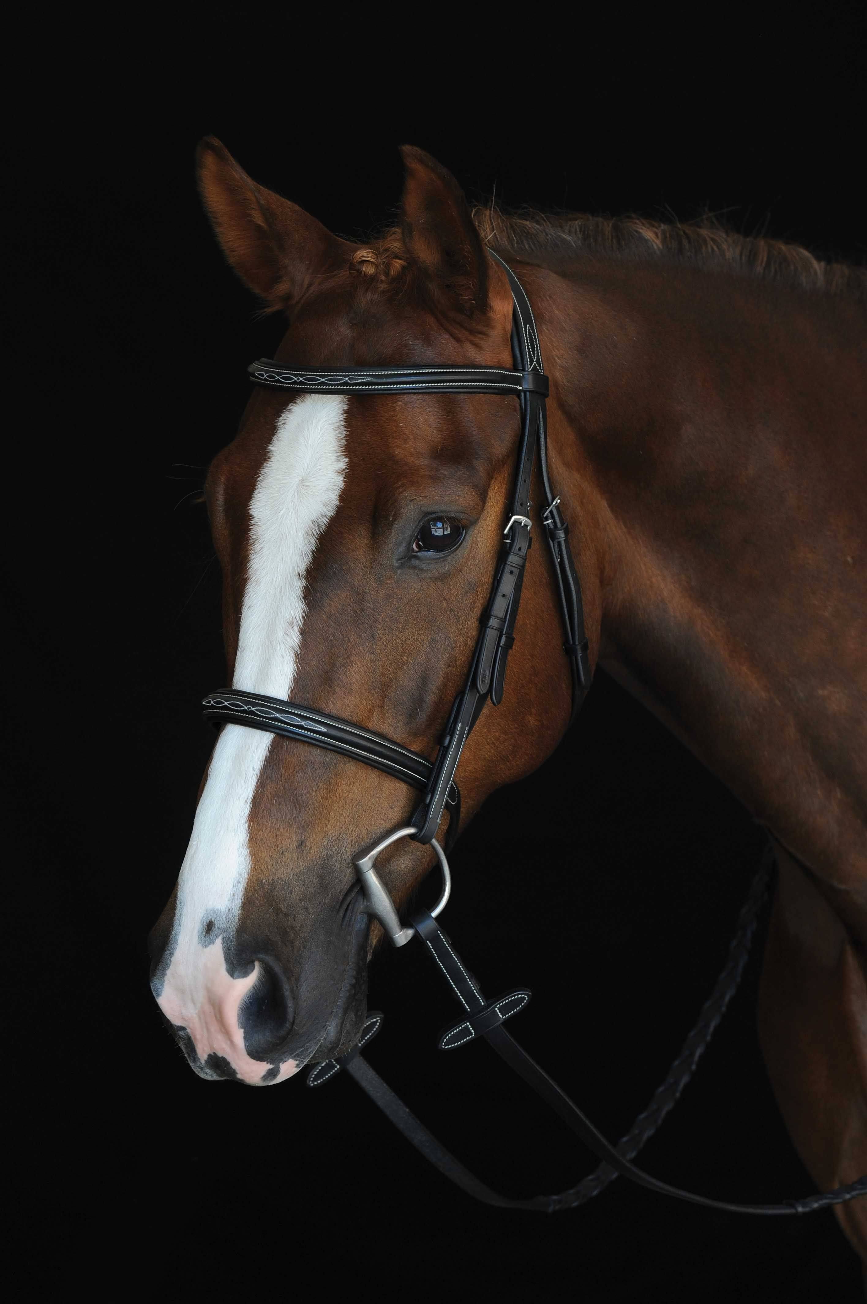 Collegiate Mono Crown Fancy Stitched Raised Cavesson Bridle - Black