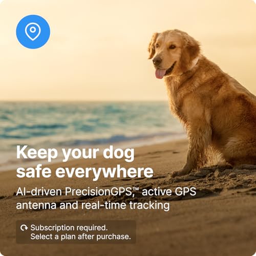 Halo Collar 3, Multifunctional GPS Wireless Dog Fence & Dog Training Collar with GPS Tracker, Subscription Required, Waterproof, Graphite (Small)