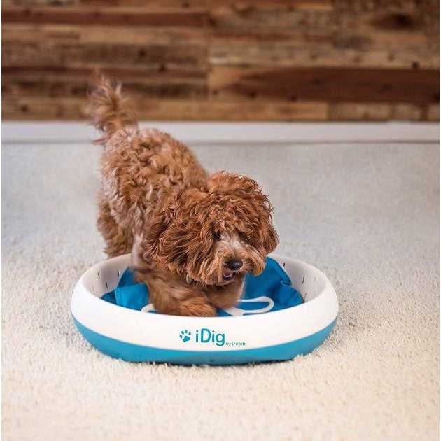 iFetch iDig Stay Dog Toy - Pet Supplies online store