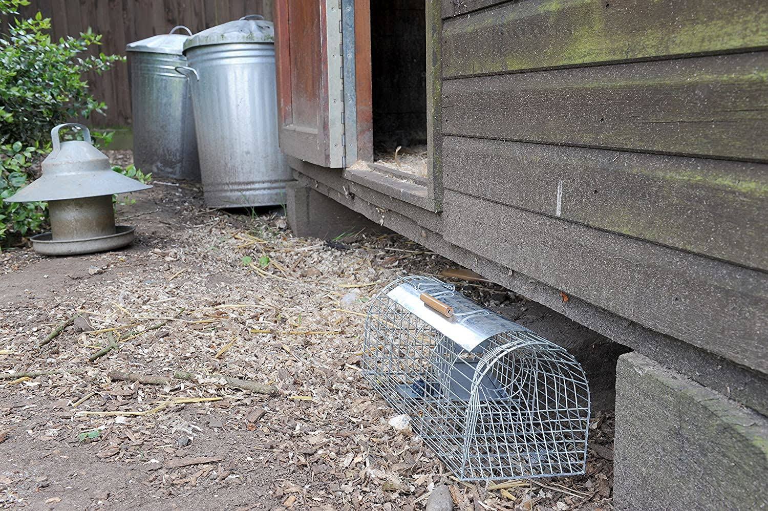 Self Set Multi-Catch Rat Trap