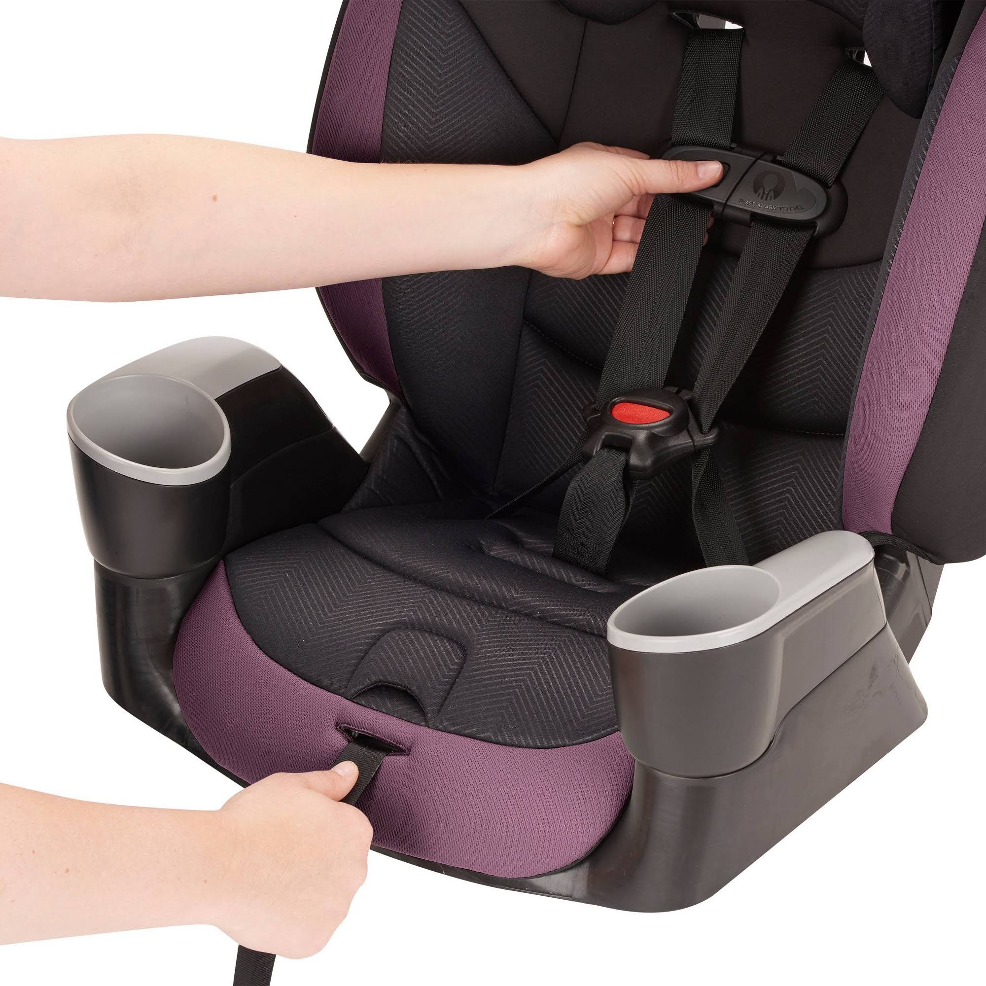 Evenflo Maestro Sport Harness Booster Car Seat - Whitney
