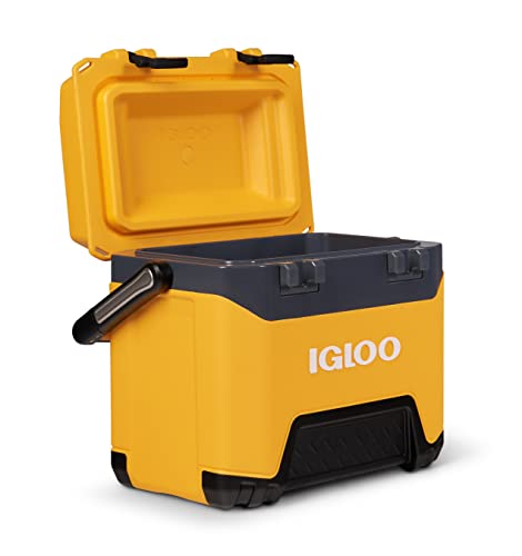 Igloo BMX Hard Coolers (25-72QT)