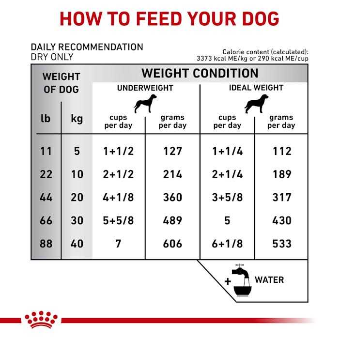 Royal Canin Veterinary Diet Gastrointestinal Fiber Response Dry Dog Food - Pet Supplies online store