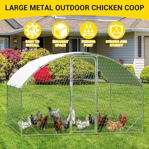 Large Metal Chicken Coop, Walk-in Poultry Cage