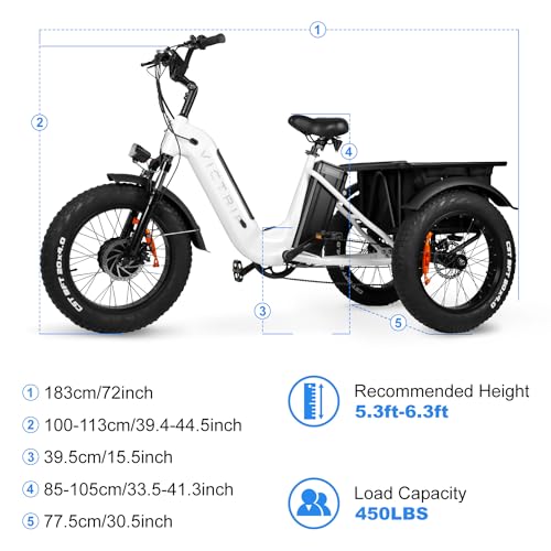VICTRIP Electric Trike for Adults 100+ Miles Long Range 20" Fat Tire Electric Tricycle 750W 48V 31.5Ah Removable Dual Battery 3 Wheel Electric