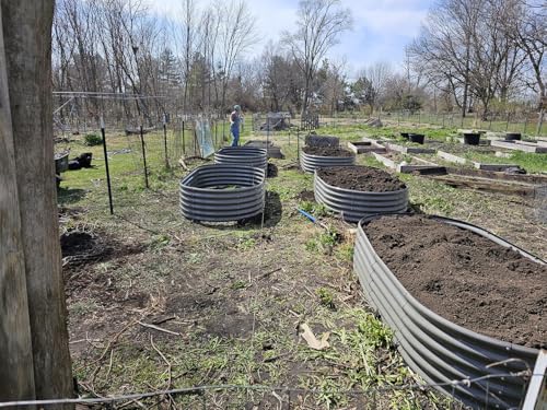 A ANLEOLIFE 8X4X1.5 ft Galvanized Raised Garden Beds Outdoor, Oval Large Metal Planter Box for Planting Vegetables Flowers Herb