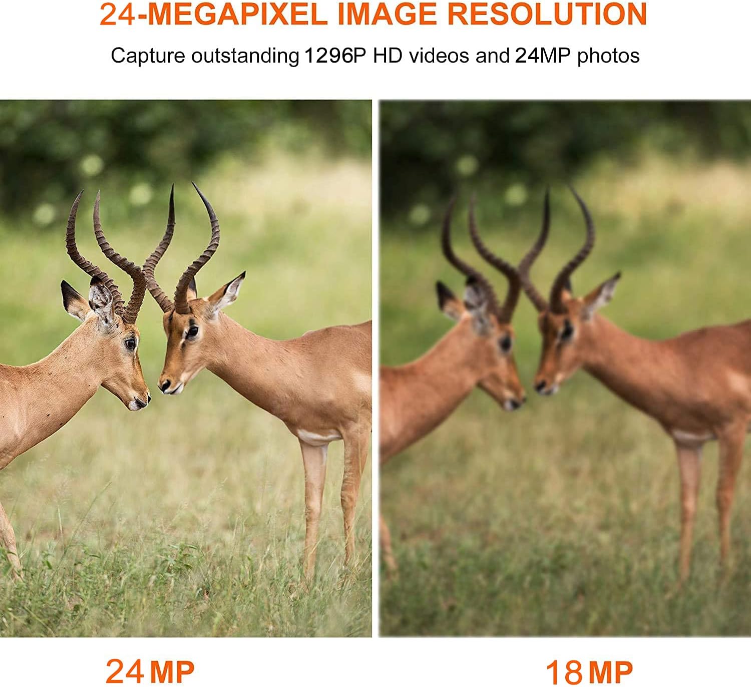 5-Pack No Glow Game Deer Trail Cameras Night Vision 24MP Photo 1296P H.264 MP4 Video for Wildlife Hunting & Home Security Motion Activated Waterproof