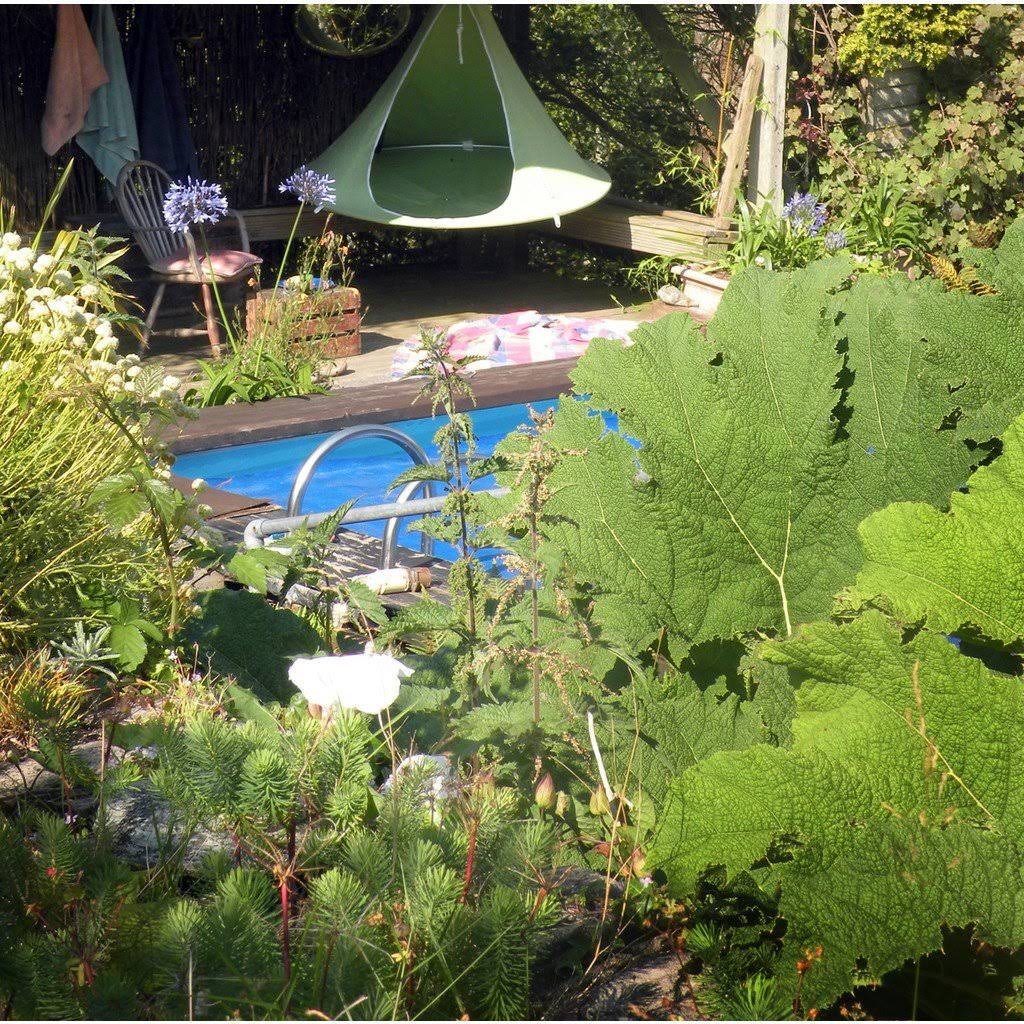 Single Cacoon- Leaf Green