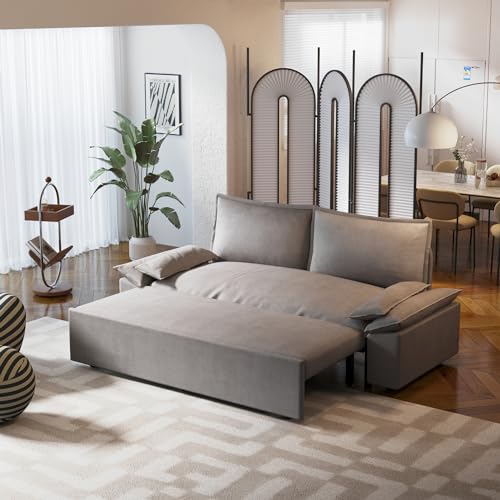 3 in 1 Convertible Queen Sleeper Sofa Bed Comfy Pull Out Futon Couch Bed 63.8" Modern Velvet Recliner Loveseat Sofa Multi-Functional Black Cloud