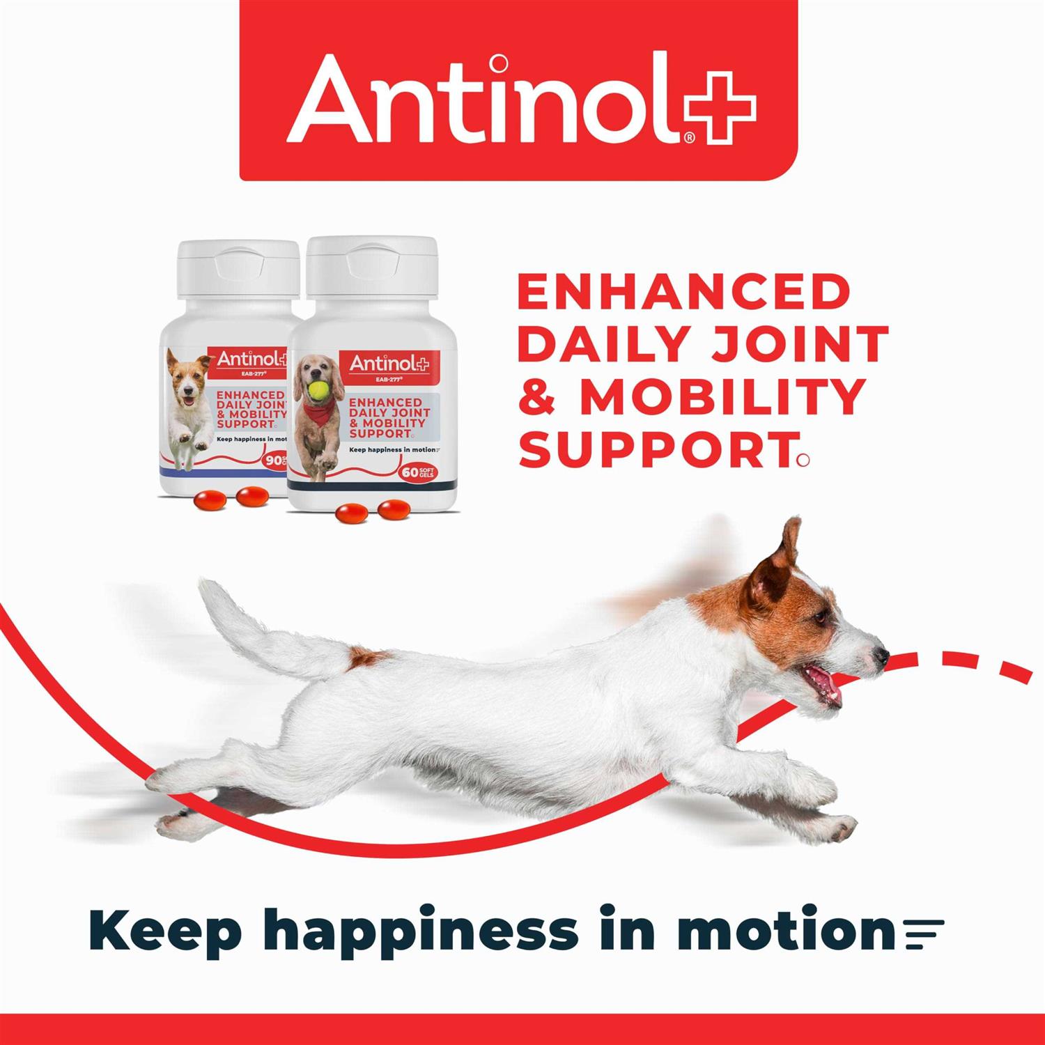 Antinol Plus, Mobility, Hip, and Joint Supplement for Dogs, Green-Lipped Mussels and Krill Oil - Pet Supplies online store
