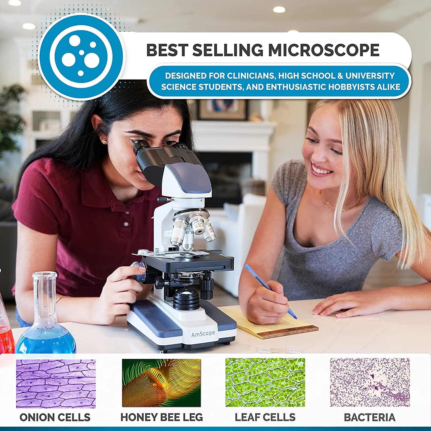 AmScope B120C-E1 Siedentopf Binocular Compound Microscope, 40X-2500X Magnification, LED Illumination, Abbe Condenser, Two-Layer Mechanical Stage