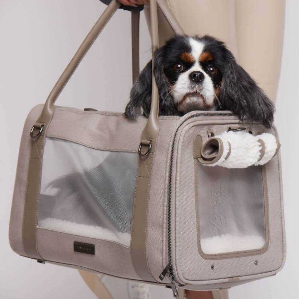 Maxbone Global Citizen Dog Carrier Modern Bag - Pet Supplies online store