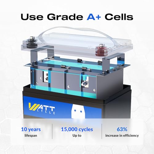 12V 314Ah Mini LiFePO4 Lithium Battery with Bluetooth 5.0, 200A BMS, 4.01kWh Energy, Upgraded Aluminum Cooling Fins & Braided Copper Wires, for RV