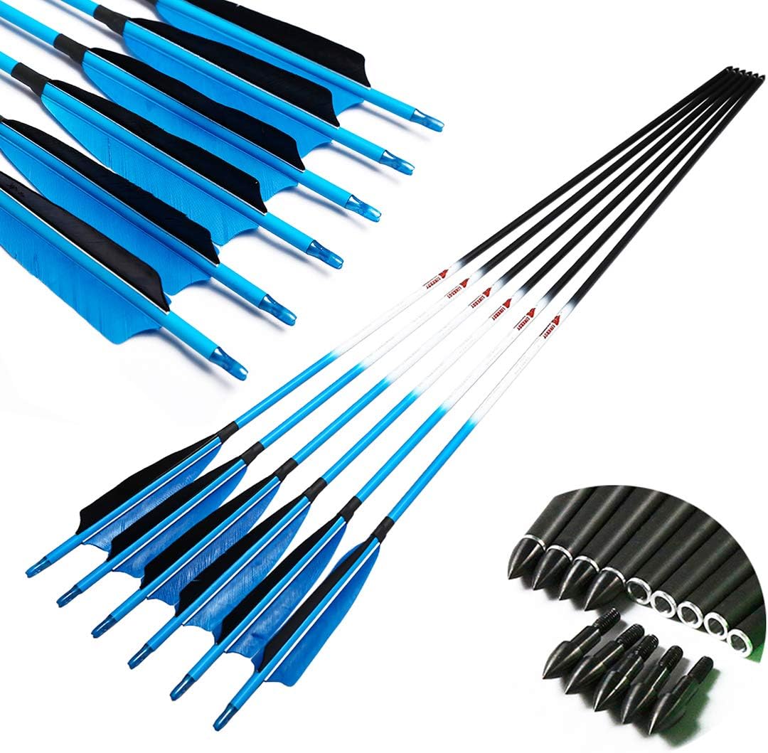 Linkboy Archery Carbon Arrows Hunting Practice Target Arrows Fluorescent with Removable Tip for Compound Recurve Long Bows, Spine 300 340 400 500 600