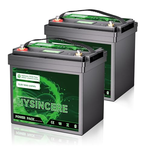 12V 100Ah LiFePO4 Lithium Battery, Mini Deep Cycle Rechargeable LiFePO4 Battery, Max.15000 Cycles Built in 100A BMS for RV, Trolling Motor, Camping