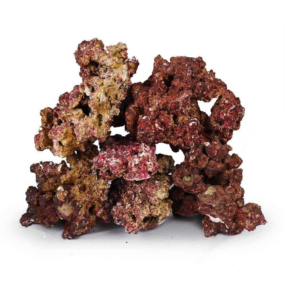 Real Reef Premium Live Rock for Saltwater Aquariums Mixed Sizes