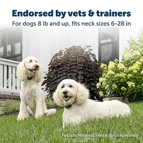 PetSafe Original Wireless Electric Fence for Dogs, Portable for Travel Covers Up to 1/2 Acre, Waterproof Collar for Pets 8lb+ with Tone/Static (Gray)