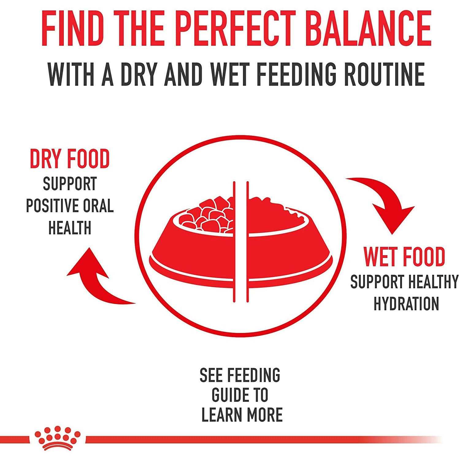 Royal Canin Golden Retriever Puppy Dry Dog Food - Pet Supplies online store