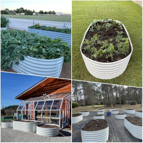 A ANLEOLIFE 8X4X1.5 ft Galvanized Raised Garden Beds Outdoor, Oval Large Metal Planter Box for Planting Vegetables Flowers Herb