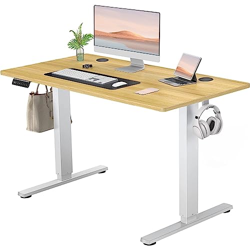 Standing Desk, Adjustable Height Electric Sit Stand Up Down Computer Table