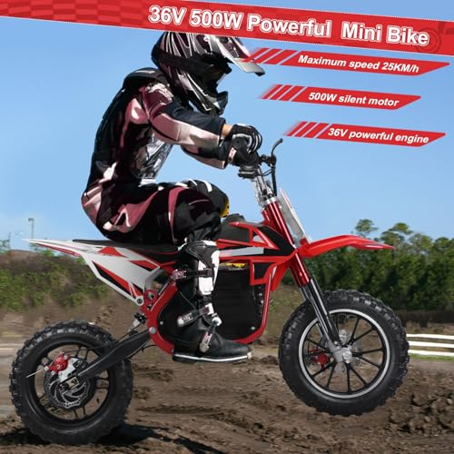 Kids Electric Dirt Bike
