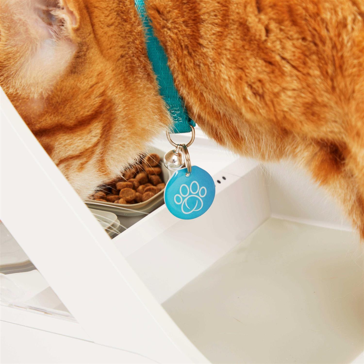 Sure Petcare SureFeed Microchip Pet Feeder Connect - Pet Supplies online store