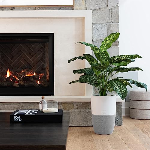 Dupray Bloom™ Air Purifier for Large Rooms with Planter or Custom Accent Table Design | For Home, Bedroom, Office, Dust
