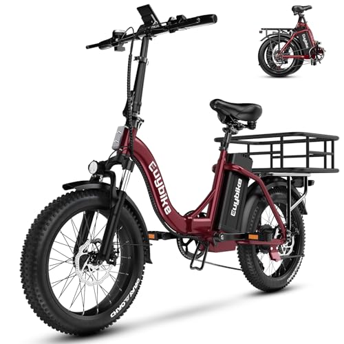 1000W Folding Electric Bike,48V 20AH Removable Battery E Bike,30+MPH,80 Miles Max Range Electric Bike for Adults,20" Fat Tire Foldable ebike