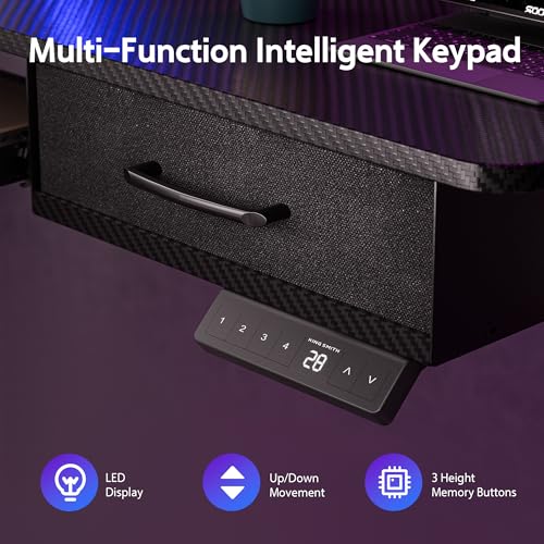 48x24 Inches Electric Standing Desk with 2 Drawers, Height Adjustable Stand up Desk for Home Office, Ergonomic Sit to Stand Table with Storage Shelf
