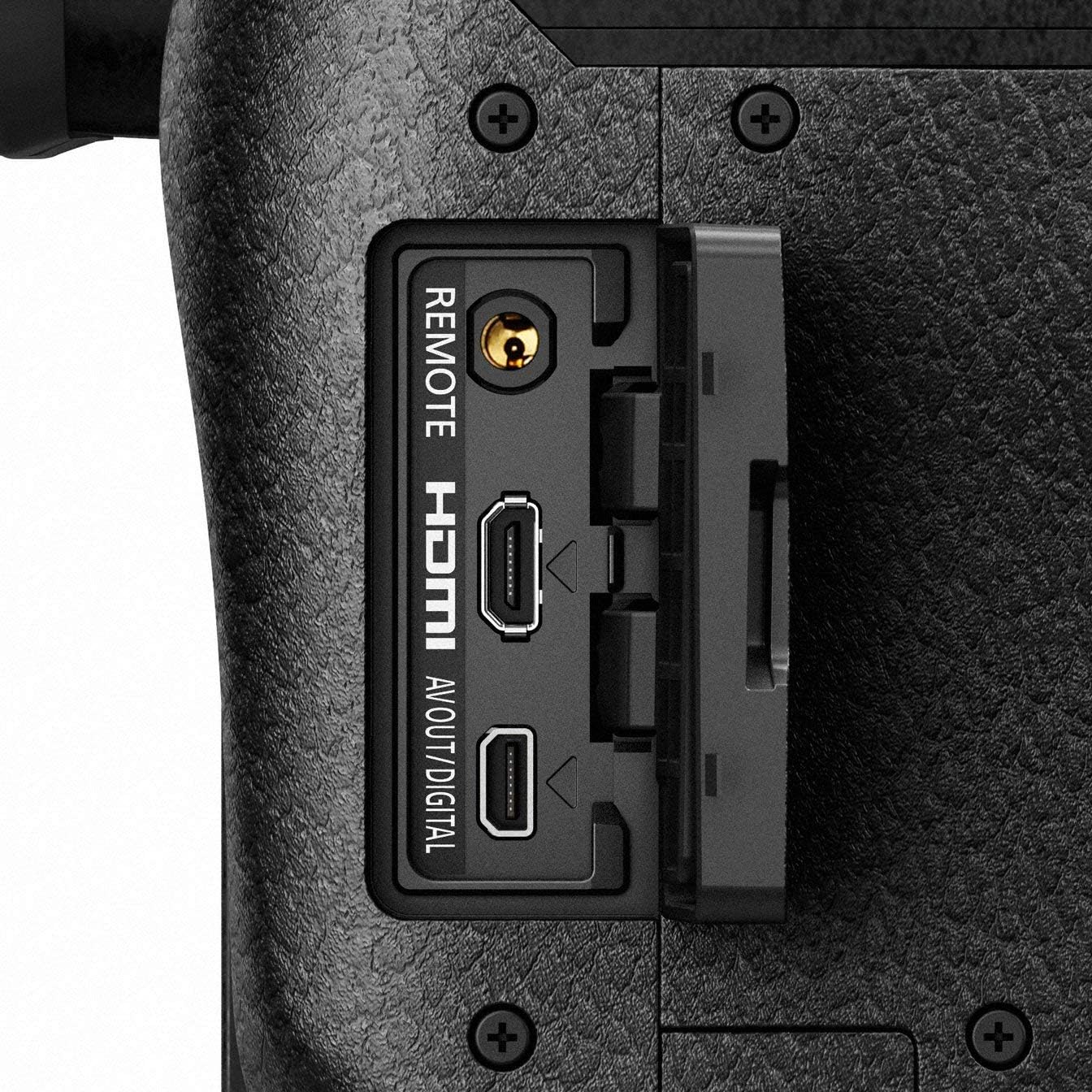 Panasonic LUMIX FZ300 Long Zoom Digital Camera Features 12.1 Megapixel, 1/2.3-Inch Sensor, 4K Video, WiFi, Splash & Dustproof Camera Body
