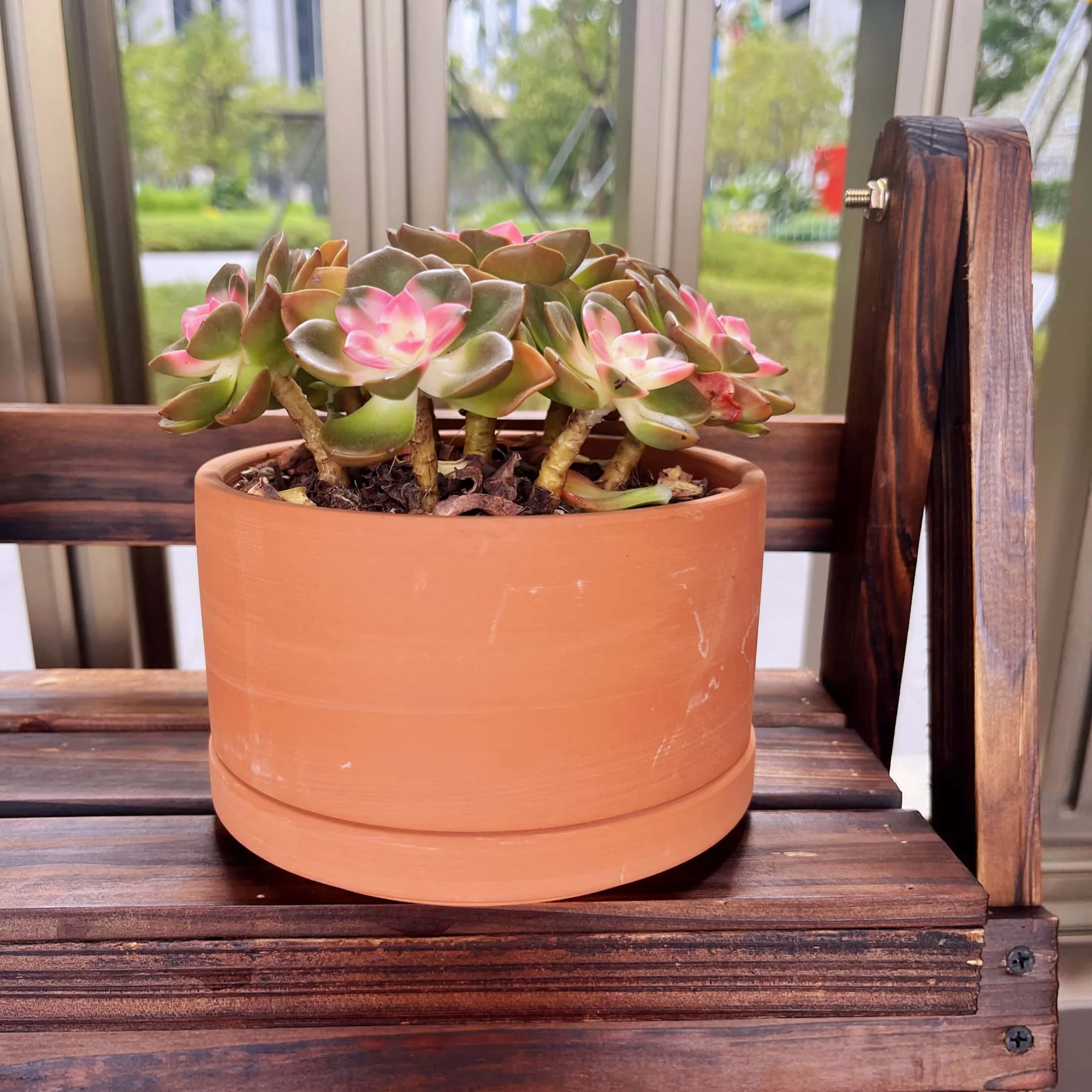 Terracotta Flower Pots, 5.9" x 3.5" x 4.7", Round, Red, 3 Count with Drainage Holes
