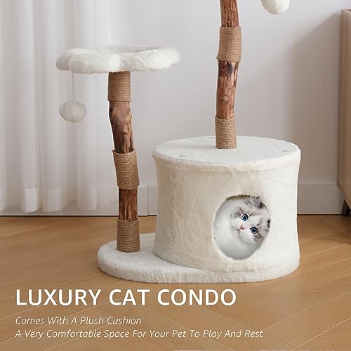NATURAL EXPRESSIONS Modern Cat Tree and Tower for Indoor, Luxury Solid Wood Condo for Large Cats, Flower Cat Tree with Scratching Post