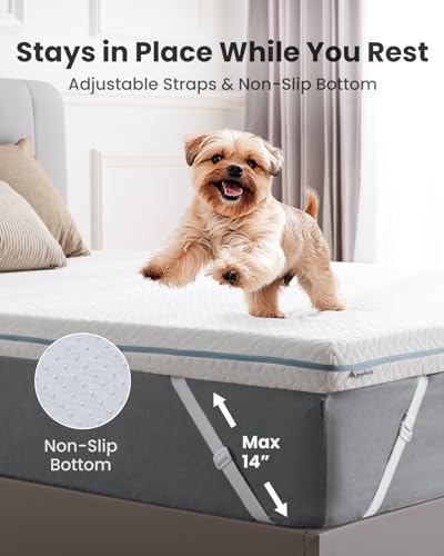Dreamsmith Twin XL Mattress Topper - 3 Inch Cooling Gel Memory Foam Mattress Pad for Pressure Relief