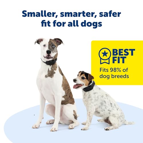 PetSafe Guardian GPS 2.0 Dog Fence + Tracking &ndash; Wireless Dog Fence with Reliable Dual Frequency GPS Tracking &ndash
