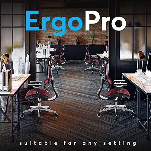 Oline ErgoPro Ergonomic Office Chair, Rolling Desk Chair with 4D Adjustable Armrest, 3D Lumbar Support, Blade Wheels