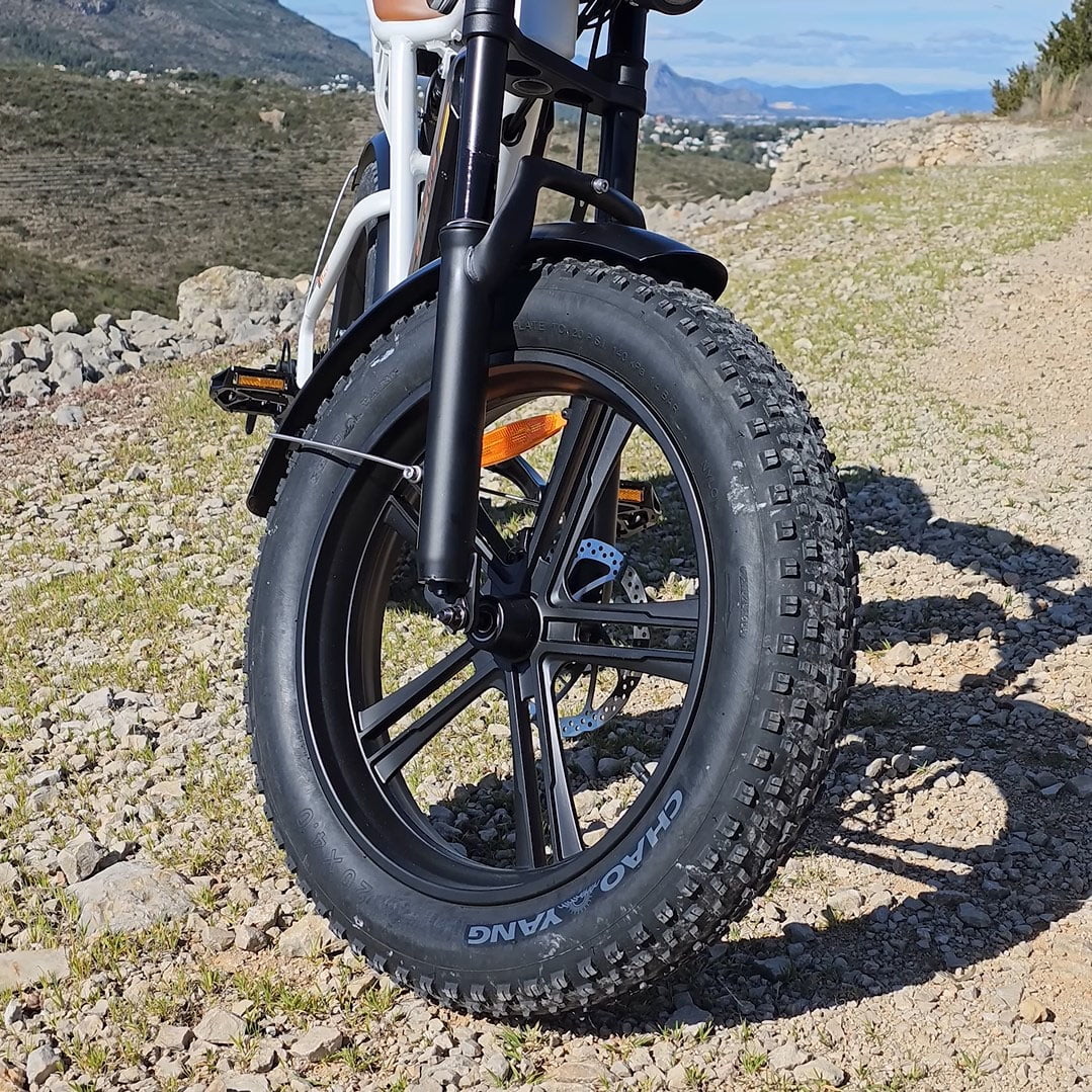 ENGWE Electric Bike 750W 20" Fat Tire Electric Bicycle, with 48V/26Ah Battery, 28MPH, 7-Speed E-Bikes for Men
