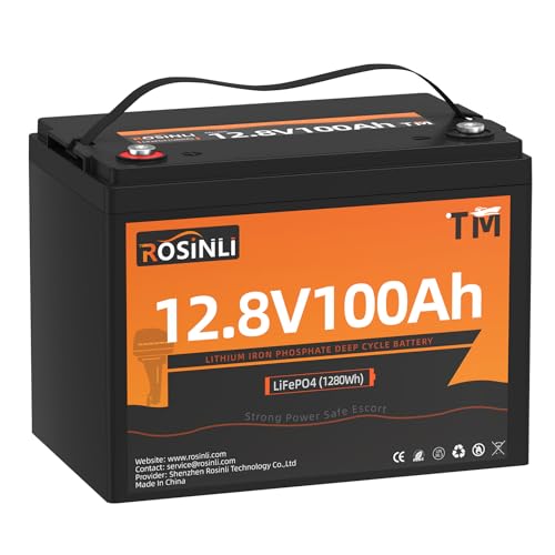 12V 100Ah BCI Group 24 LiFePO4 Battery, Built in 100A BMS, Max. 15000 Deep Cycle Lithium Rechargeable Battery for RV, Trolling Motor, Camping, Marine
