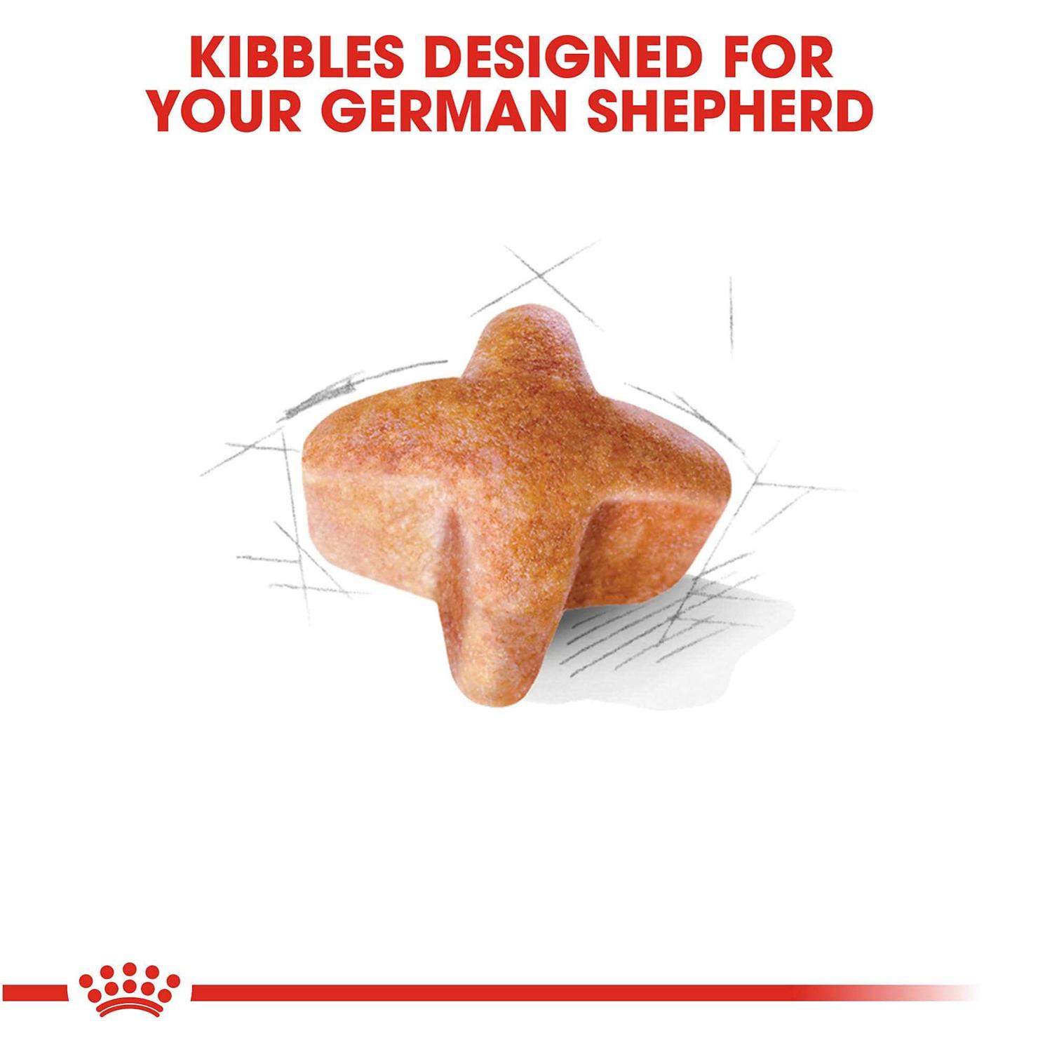 Royal Canin Adult German Shepherd Dry Dog Food - Pet Supplies online store