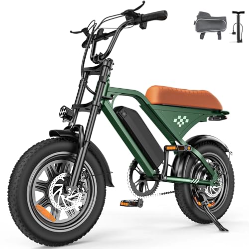 Electric Bike for Adults,Peak 1000W/1500W Motor,20/28MPH 55-150Mile ebikes for Adults with 10.4AH/13AH/26AH Battery