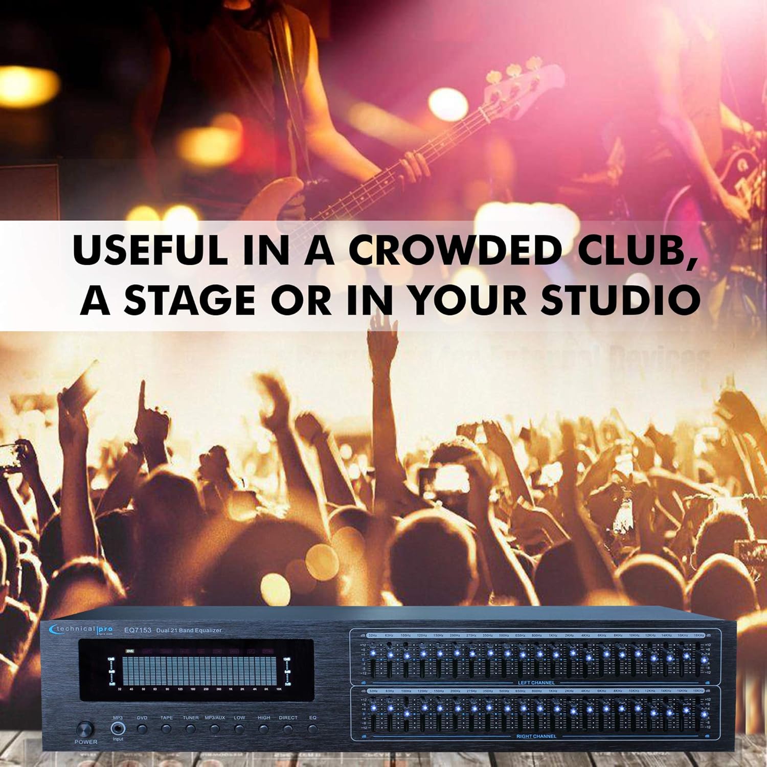 Technical Pro Dual 21 Band Professional Stereo Equalizer with Individual LED Indicators