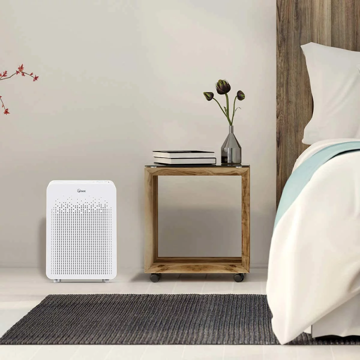 Winix Air Cleaner with PlasmaWave Technology (C545)