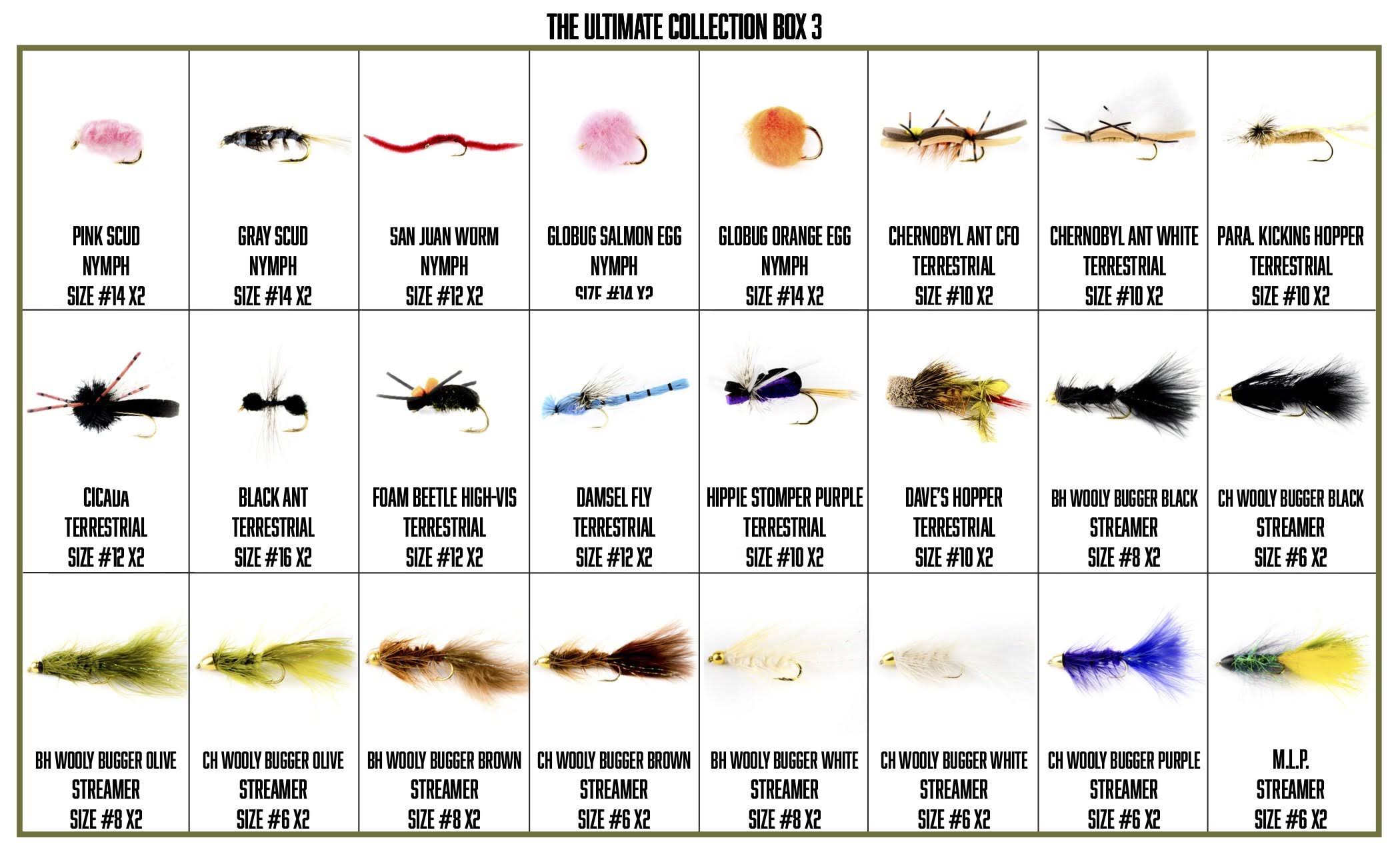 The Ultimate Collection | 200 Premium Fly Assortment
