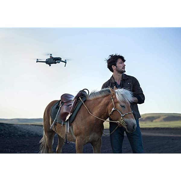DJI Mavic 2 Pro - Drone Quadcopter UAV with Hasselblad Camera 3-Axis Gimbal HDR 4K Video Adjustable Aperture 20MP 1" CMOS Sensor, up to 48mph, Gray