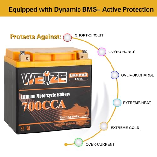 Weize Lithium YTX30L-BS, 700A Lithium LiFePO4 YTX30L Motorcycle Battery, 12V 10AH ATV, UTV, Jet Ski, Scooter, Lawn Mower, Tractor, Generator Battery