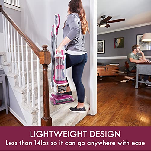 Kenmore DU5092 Bagless Upright Vacuum Lift-Up Carpet Vacuum Cleaner 2-Motor Power Suction with Hair Eliminator Brushroll, Pet Handi-Mate, 2L